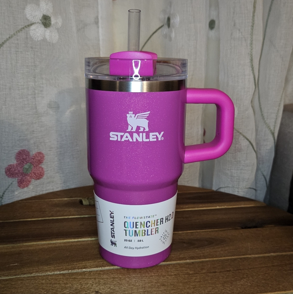Stanley Cup 20 oz. Quencher H2.0 FlowState Tumbler with Handle Winter Wonderland
